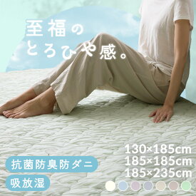 【10%OFFクーポン★3日20時〜11日10時】ラグ とろひやラグ 夏 2畳 3畳 2畳3畳 リビング 二畳 三畳 夏用カーペット ラグマット 年中 むれにくい 調湿 わた ウレタン 抗菌 防臭 防ダニ130×185cm 185×185cm 185×235cm 吸放湿性 洗える