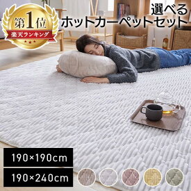 【5%OFFクーポン★~7/11 10時】ラグ 厚手 洗える 2畳 3畳 滑りにくい ふんわり やわらかい おしゃれ ラグマット190×190cm 190×240cm 北欧 滑り止め付き フランネルラグ あったか ホットカーペット対応 床暖房対応 洗濯 抗菌 防臭 防ダニ　洗濯可 マイクロファイバー
