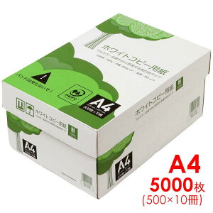 Rs[p A4 5000 (500×10) F n PEFCF ܂Ƃߔ  ʈ   FAX  OAp p A4Rs[p  ItBXpi pi GCs[s[EWp z