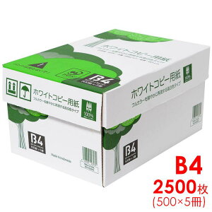 Rs[p B4 2500 (500×5) F n PEFCF ܂Ƃߔ  ʈ   FAX  OAp p B4Rs[p  ItBXpi pi GCs[s[EWp zC