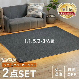 ホットカーペット 2畳 1畳 1.5畳 3畳 4畳 ラグ セット 省エネ 本体 TEKNOS 電気カーペット コンパクト ホットマット 電気マット 省エネ 正方形 切り忘れ自動OFF ダニ退治機能付 簡単操作 温度調節 コンパクト収納 グレー
