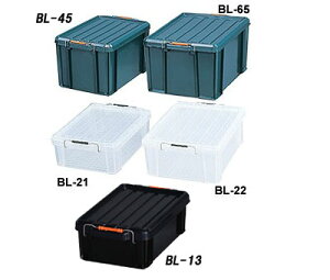 Rei [{bNX ӂt 21L obNRei BL|21 Ƌ ACXI[} AEgbg l炵 [