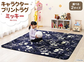 最高かつ最も包括的なディズニー じゅうたん 最高の壁紙コレクション