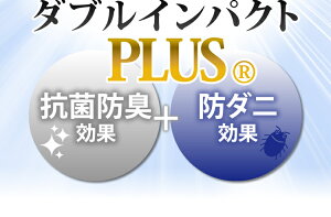 楽天市場 ポイント10倍 28日09 59迄 除湿マット すのこマット 除湿シート すのこ型吸湿マット ダブルインパクト Plus ベージュ Tji 480 日本製 ベルオアシス 吸湿シート シングル すのこ型 すのこベッド 国産 帝人 湿気対策 湿気取り 吸湿 乾燥 D B 収納