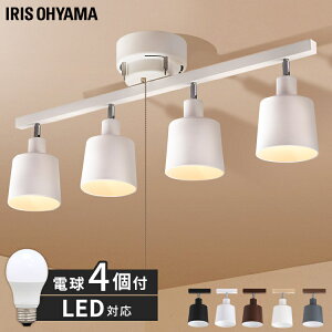 V[OCg  k Ɩ yd4ZbgzVƖ LED Cg 4V[O Xg[g CE4LA-20S zCg ubN uE 60` ԐڏƖ  4V[OCg 