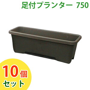 v^[ t tv^[ 10Zbg ACXI[} 10Zbg tv^[ 750 _[NuE l炵 Zbg Ƌ