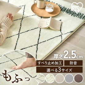 ラグ 1.5畳 2畳 3畳 カーペット ラグマット 絨毯 厚手 2.5cm おしゃれ シンプル オールシーズン ホットカーペット対応 ホットカーペットカバー 防音 滑り止め付き こども ペット 一人暮らし リビング アイリスオーヤマ ふっくらウレタンラグ ORG-25C *【広告】