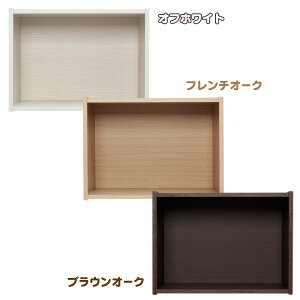 カラーボックス1段■組立簡単のカラーボックス■楽天HC【家具】【収納術】【収納】【整理棚】