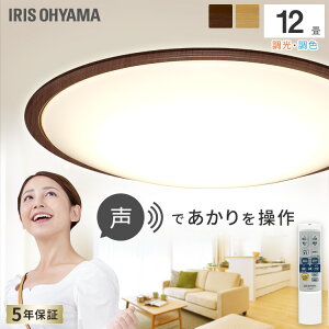 V[OCg 12  F  ACXI[} led V[OCg F ؖ ؖڒ  Ebht[ CL12DL-5.11WFV-U Ɩ Cg LED dC ACXI[ ȃG