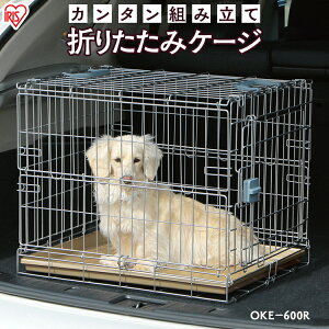 ܂肽݃P[W OKE-600R Vo[^uE P[W ܂肽 Q[W L[ nEX B I  TN  p hbO Ck t hCu o   ^ ^ ^ 