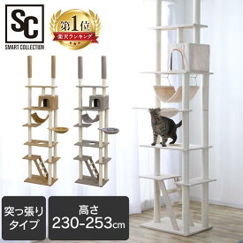 突っ張りキャットタワー CCCT-4060T キャットタワー キャット タワー 突っ張り つっぱり ネコ 猫 遊び道具 室内 ペット用品 ペット ブラウン グレー ベージュ