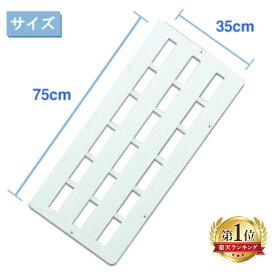 すのこ プラスチック 押入れ スノコ 8枚セット (2枚組み×4セット) アイリスオーヤマ 家具 収納 衣替え 通気性 湿気 すのこマット スノコマット マット おしゃれ インテリア シンプル 整理棚 湿気対策 グッズ 梅雨 新生活 一人暮らし 幅35 奥行75cm SN-35