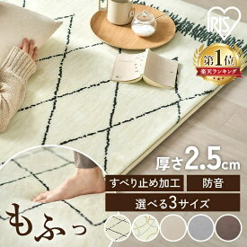 [週末全品P5倍★20時〜]ラグ 厚手 防音 冬 1.5畳 2畳 3畳 北欧 カーペット ラグマット 絨毯 2.5cm おしゃれ シンプル オールシーズン ホットカーペット130 185 240 滑り止め付き ペット 一人暮らし リビング アイリスオーヤマ 冬用 お手入れ簡単 ORG-25C 【広告】
