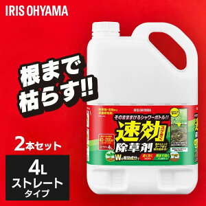 �y2�{�Z�b�g�z ������ 4L �܂Ƃߔ��� ���� ���� �t�� �A�C���X�I�[���} ��_�k�n�p ���͂炵 �G���΍� �K�[�f�j���O ���|�p�i �� ����� �X�g���[�g�^�C�v ���������� WSJ-4L *