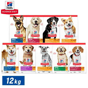 qY TCGX_CGbg 12kg hbOt[h hC ^ q   얞 C ̏dǗ A_g VjA ps[ Cg  e qY h{H