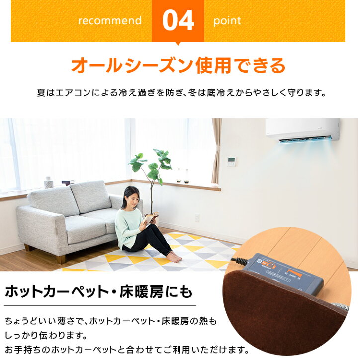 楽天市場 目玉価格 2680円 ラグ 洗える おしゃれ 0 2503畳 フランネルラグ カーペット ラグ フランネル 洗える おしゃれ フランネル ラグ Fnr S 25 ラグマット 洗えるラグ 滑り止め付き 北欧 約3畳 カーペット グリーン ブラウン ベージュ ピンク D 収納