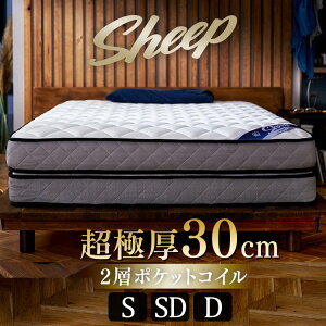 }bgX VO Z~_u _u |PbgRC }bgX zCg Ɍ Ɍ 30cm }bgX xbh xbg VO ʋC R hL h_j _j΍    l