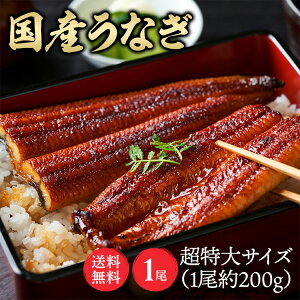 【1尾】特大鰻(約200g/尾) うなぎ かば焼き 国産 鰻蒲焼 冷凍 200g 目利き 厳選 大阪中央卸売市場 土用 Tokka 【TD】 【代引不可】