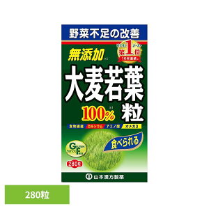 [12���ԂقڑS�iP5�{��12��~]�`��100% 280�� ���N�H�i �R�{���� �` �T�v�������g �唞��t �R�{��������