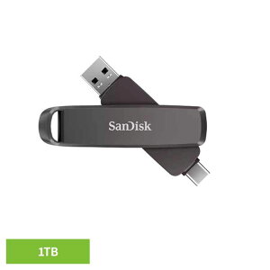 [12���ԂقڑS�iP5�{��12��~]SanDisk Slim Dual Drive 1TB SDDDE1-1T00-J46�|�[�^�u��SSD 1TB sandisk �T���f�B�X�N �R���p�N�g ��e�� �f�[�^�ۑ� ����B�e �T���f�B�X�N
