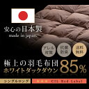 羽毛布団 シングル 掛け布団 掛布団 日本製 ホワイト ダック ダウン85% 1.0kg シングル かさ高120mm以上 300dp以上ホワイトダックダウン 羽...