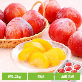山形県産プラム秋姫 約1.2kg（6〜12玉） 山形県産 プラム 秋姫 すもも お取り寄せ 送料無料 産地直送 フルーツ ご褒美 季節の贈り物 【TD】 【代引不可】