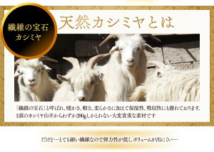 【送料無料】カシミヤ混掛け布団ダブルFCKN-D