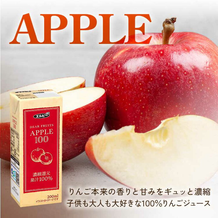 期間限定送料無料 エルビー Fruits Selection アップル100 200ml 2028 パック飲料 りんご 1セット 24本入×２ 