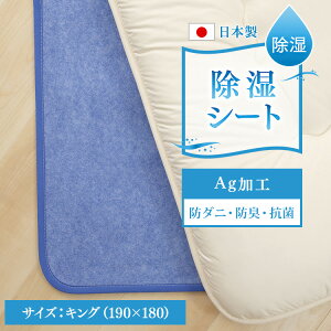 }bg V[g LO lxIAVX V[gih_jH/AGL@\tj LO u[ 53/BJKX179.0000  C΍ }bg V[g l eCW TEIJIN ACXv