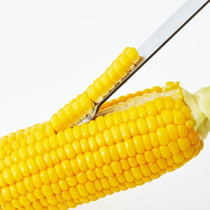 yzR[s[[ Poro | XeX H@Ή  Lb`c[ Vv s[[ W18mm 155mm H7mm VJ AS0051 CCgR EAgCO y䂤pPbgz