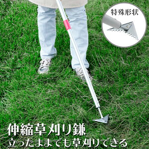 yz  ܂܊yX  Lk ^Cv 74cm`119.5cm 11cm d 350g {/yʃA~pCv n/vȃuf|