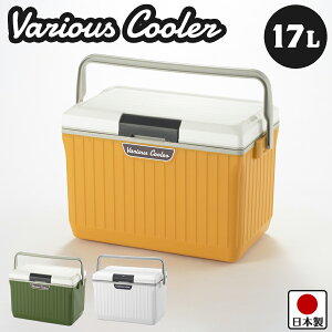 yzN[[{bNX xAX N[[ 17L 48cm s30cm 32.5cm O[ CG[ zCg { yW[ AEghA ނ X|[c  h Lv \L 