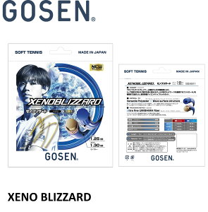 S[Z GOSEN \tgejXXgO XENOBLIZZARD [muU[h SSXB11 \tgejX