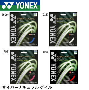 YONEX lbNX \tgejX XgO Kbg TCo[i`QC I[Eh CSG650GA