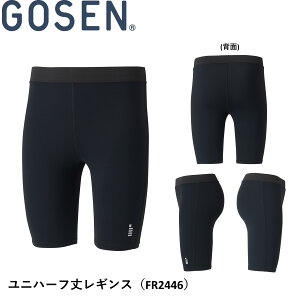 y|XgzS[Z GOSEN EGA jn[t䃌MX FR2446 oh~gEejXE\tgejX