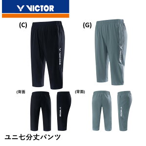 y|XgzrN^[ VICTOR EGA pc R-40208 oh~g