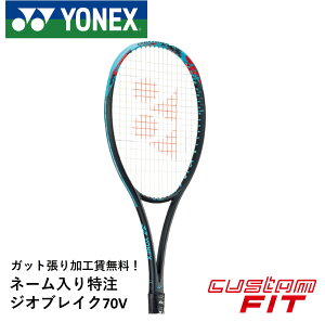 yl[\zyzyJX^tBbgzyKbg㖳zlbNX YONEX \tgejXPbg WIuCN70V GEO70V 02GB70VN301