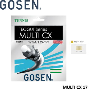 �S�[�Z�� GOSEN ���̑� MULTI�@CX�@17 TS661 �d���e�j�X