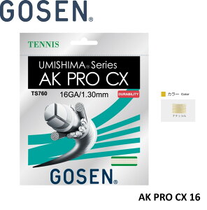 S[Z GOSEN dejXXgO AK PRO CX 16 TS760