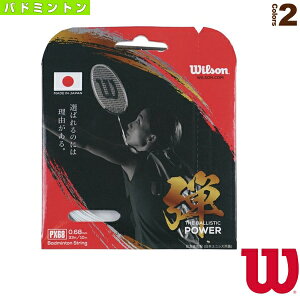 �E�B���\�� �o�h�~���g���X�g�����O�i�P���j PX68 �e THE BALLISTIC POWER WR850040