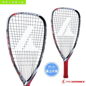 ラケットボール ラケット その他のアウトドア用品の人気商品 通販 価格比較 価格 Com