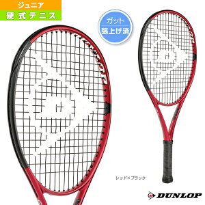 _bv ejXPbg CX 200 JNR 25 グσPbg WjA DS22101J
