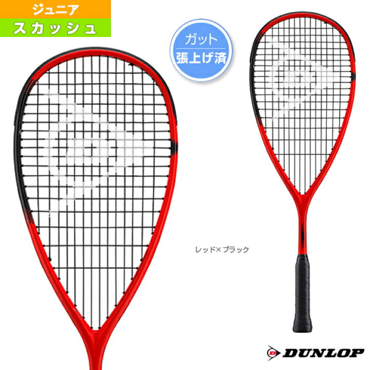 楽天市場】ダンロップ スカッシュラケット ソニックコア レヴェ 
