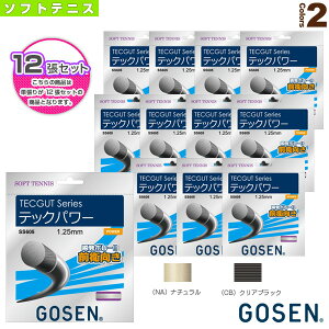 S[Z \tgejXXgOiPj w12PʁxebNKbg ebNp[ TECGUT TECPOWER SS605