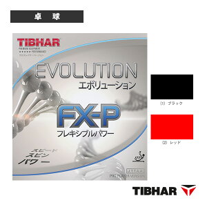 �e�B�o�[ �싅���o�[ �G�{�����[�V����FX-P EVOLUTION FX-P TJR103
