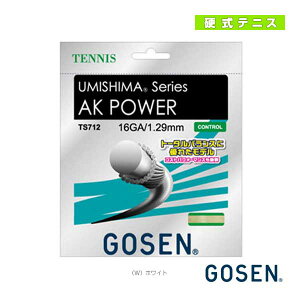 �S�[�Z�� �e�j�X�X�g�����O�i�P���j �E�~�V�} AK�p���[ 16 UMISHIMA AK POWER 16 �z���C�g TS712
