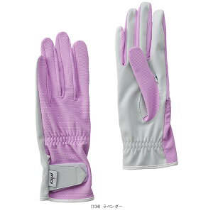 vX ejXANZTE TJOO[u fB[X PG986