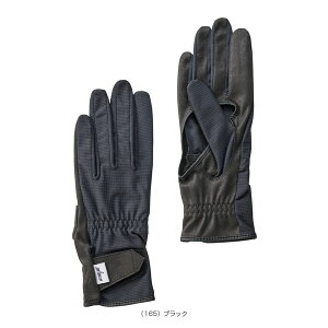 vX ejXANZTE TJAiALOO[u fB[X PG987