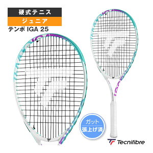 eNjt@Co[ ejXPbg e| IGA 25 TEMPO IGA 25 14TEMP254E