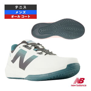 j[oX ejXV[Y t[GZ796 FuelCell 796 v4 H 2EiWj I[R[gp Y MCH796